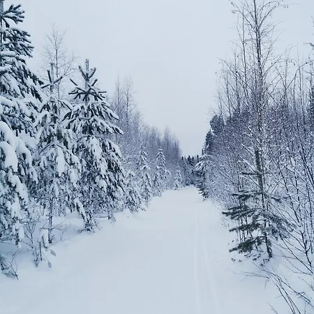 Сasa de vacaciones Moekki Rantasalmella Saimaan Rannalla